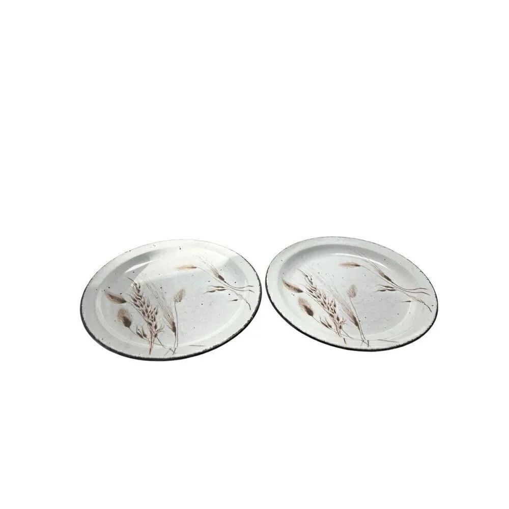 Stonehenge Midwinter Wild Oats 10 1/2" Dinner Plates Set of 2 Some Wear